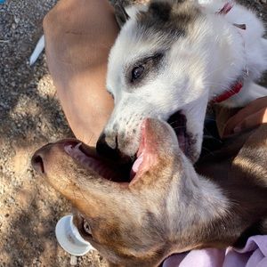 Meet your Posher, Abraham